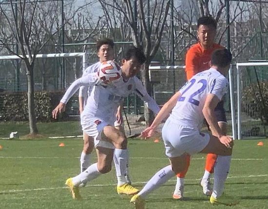 老鸭窝成人