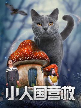 女友的采访游戏