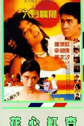白鹿ai换脸