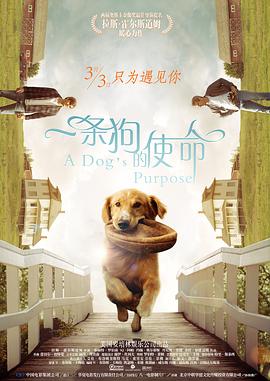 激情丁香六月